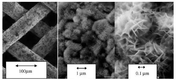 图8. 具有Raney型外表面的不同放大倍数的镍栅催化剂的SEM图像