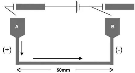图13. 用于Suzuki偶联反应的毛细管微反应器的示意图