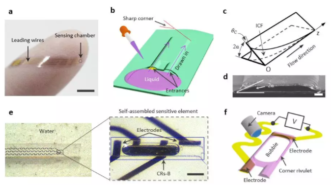 图1 基于内角流的微气泡传感器设计原理