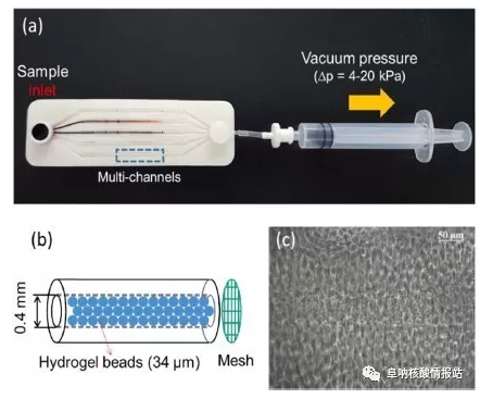 图1 （a）实验装置；（b）微珠填充微通道的示意图；（c）微珠填充微通道内显微镜图像。