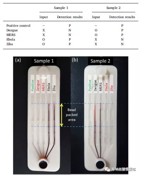 使用微流控芯片进行实际样品的检测的结果
