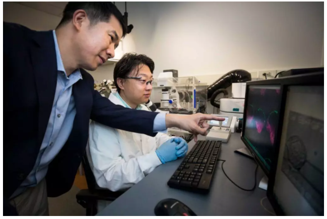 机械工程副教授傅剑平和机械工程研究员