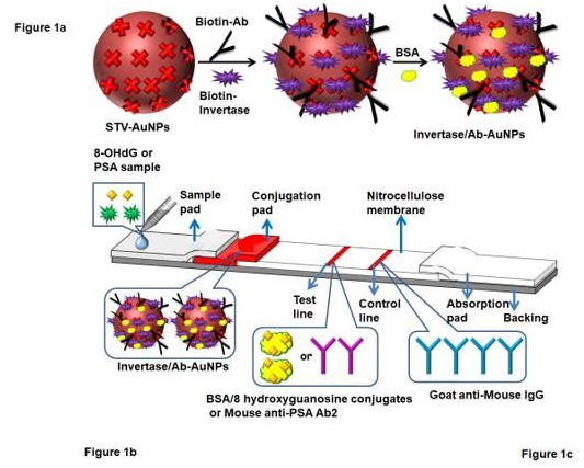“微流控+智能手机血糖仪” 打造非血糖分子检测平台，量化评估DNA过氧化损伤