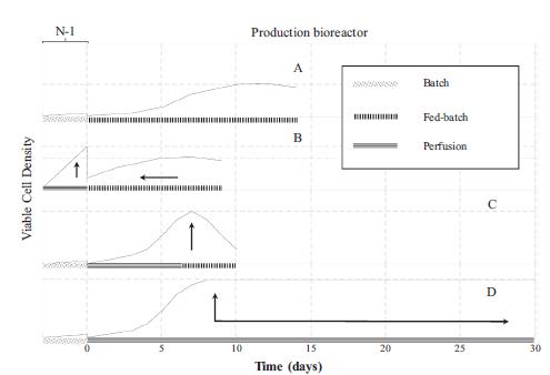 N-1和生产（N-阶段）生物反应器不同操作策略的示意图
