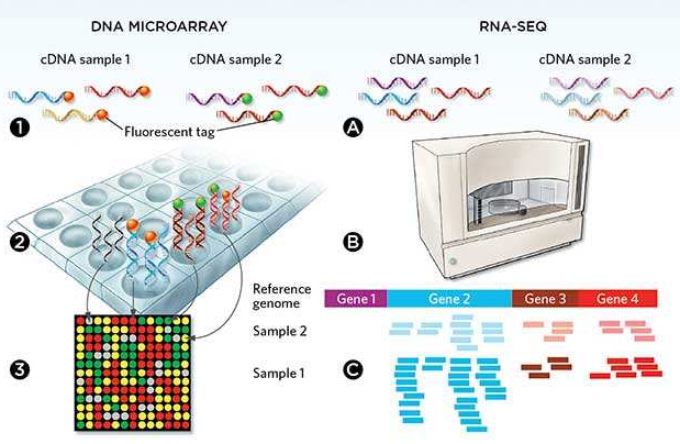微流控自动化技术革新RNA-Seq文库构建流程 --- FLUIDIGM发布更高效、更节约成本的Advanta RNA-Seq NGS 文库构建解决方案