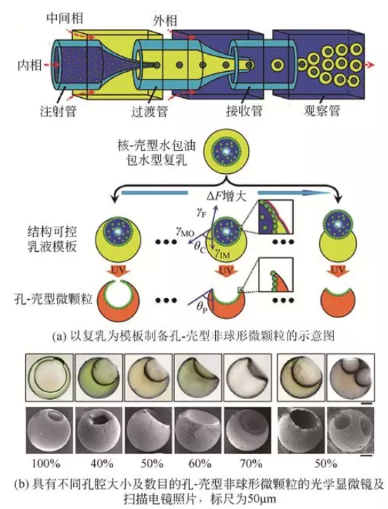 　复乳模板法制备孔-壳型非球形微颗粒