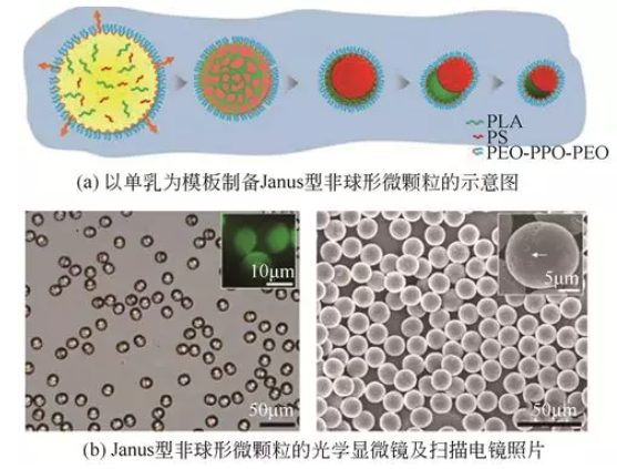 单乳模板法制备Janus型非球形微颗粒