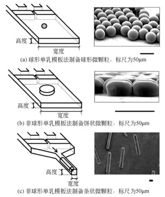 非球形单乳模板法制备非球形微颗粒