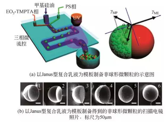 Janus型复合乳液模板法制备非球形微颗粒