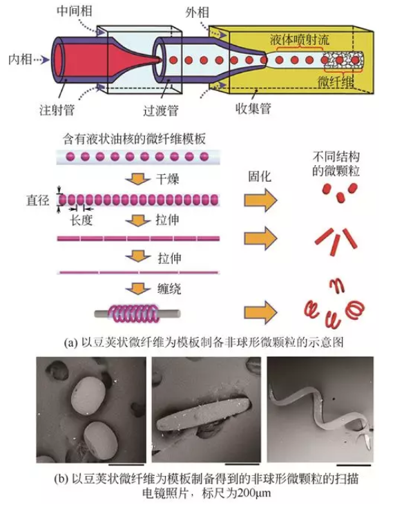 豆荚状微纤维模板法制备非球形微颗粒