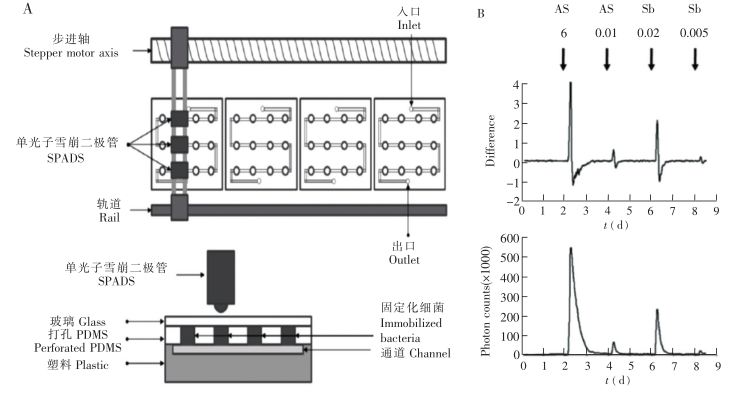流通式生物传感器示意图及响应曲线
