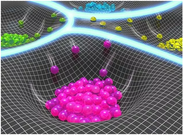 Analyst：数字PCR数据的准确、可靠、非监督自动分类新方法
