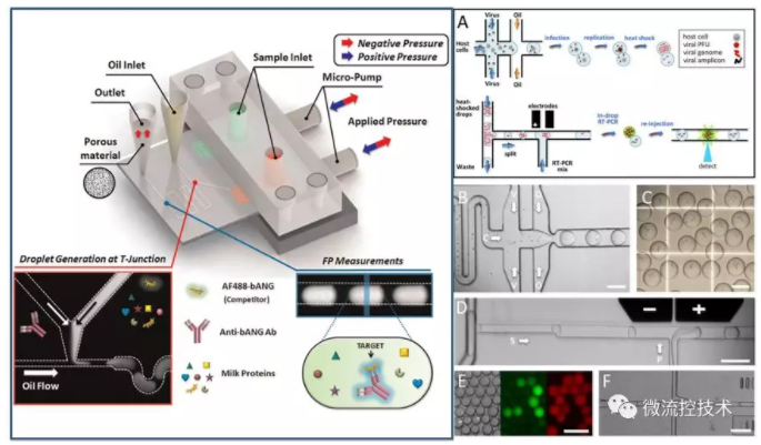 液滴微流控技术应用于分子诊断免疫检测和病毒感染性检测
