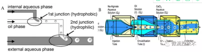 微流控液滴的应用-食品加工方面