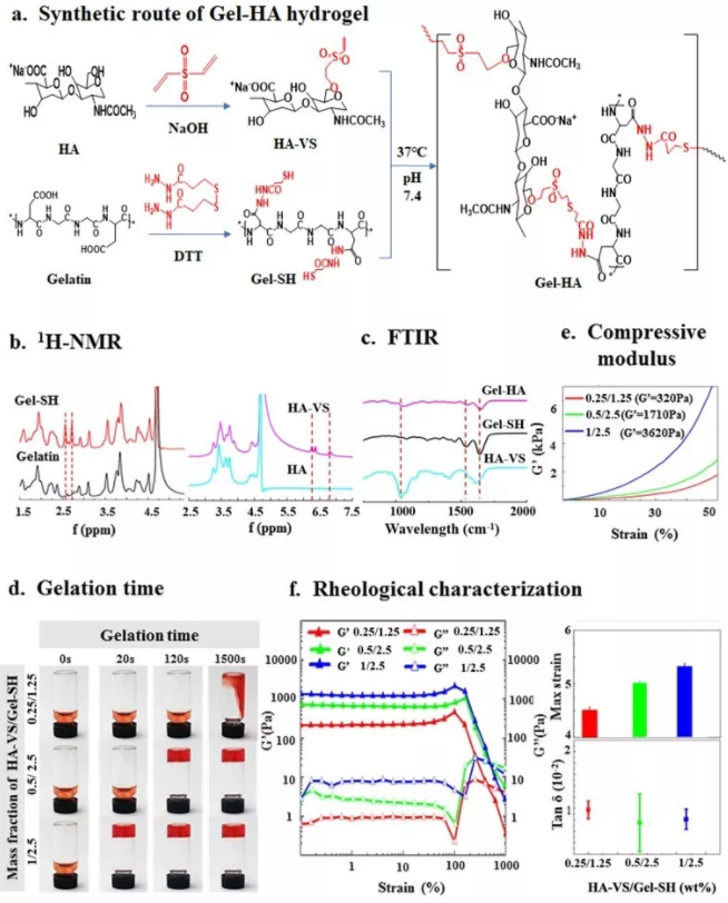 图2：微凝胶材料的制备和表征