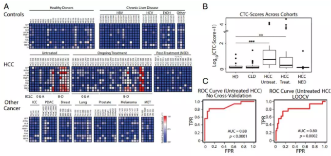 图2.微流控CTC-iChip系统能够特异地识别肝癌细胞。