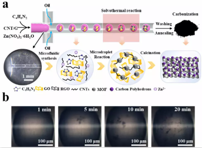图2. (a) 微液滴法制备微介孔碳骨架纳米材料示意图；(b) 单个液滴不同反应时间的光学照片。