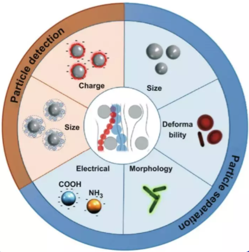 DLD知多少？新加坡NSU综述带你了解微流控生物医学新技术！