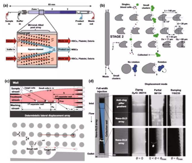 图3 基于尺寸的DLD分离的应用