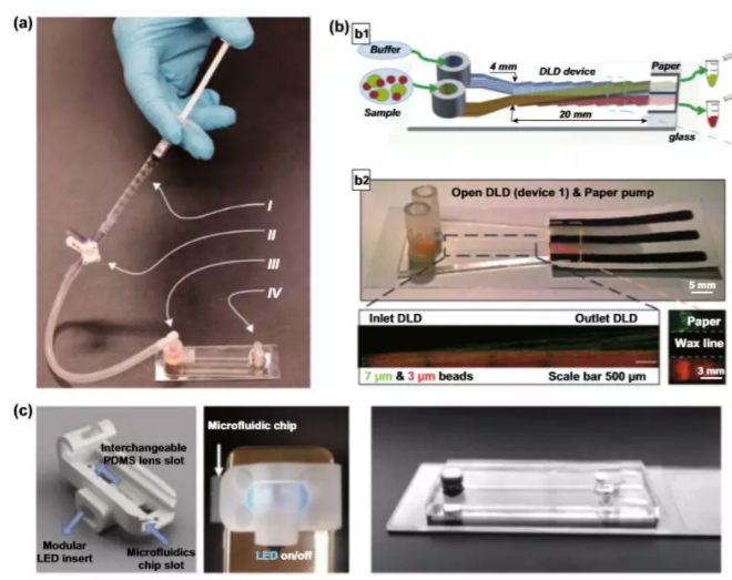 图5 用于颗粒分离的DLD设置简化。