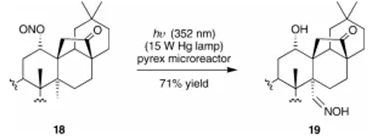 方案9 连续光化学条件下的巴顿反应