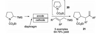 方案10 烯丙基硅烷与N-酰亚胺离子的电化学偶联反应
