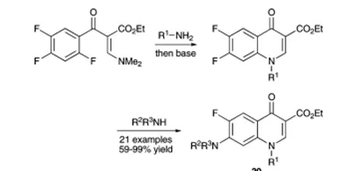 方案13 环丙沙星类似物库的合成30