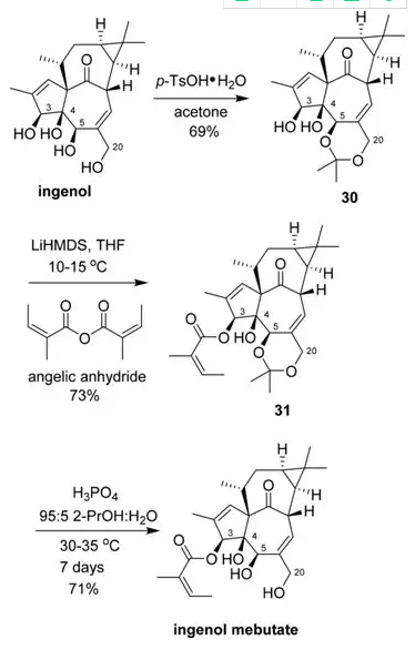 图9.Ingenol mebutate的合成路线
