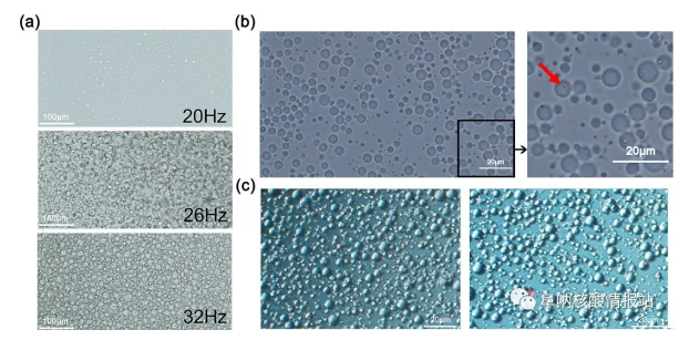 图3 a) 乳液中液滴的性质。(a)不同振动频率下乳液的特性；(b)一个乳状液舱内的单颗珠子的照片；(c)乳液热循环前(左)和热循环后(右)的照片。