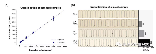 图6 定量检测目标DNA