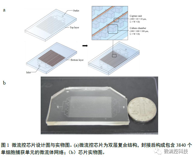 微流控芯片设计图与实物图