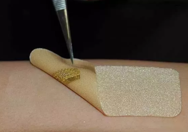 基于微流控技术的新型生物传感器可用于实时检测病原菌