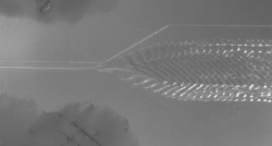 高流速下微凝胶形成“鱼骨”图案