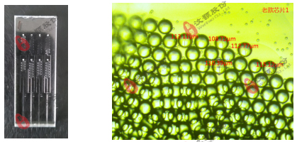O/W水包油液滴玻璃芯片