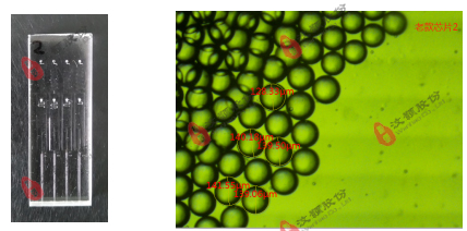 O/W水包油液滴玻璃芯片