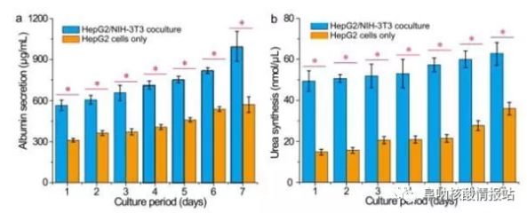 图片6.png 图5 肝细胞/成纤维细胞共培养和肝细胞培养的肝脏特异性功能的测定。在七天内测量的HepG2 / NIH-3T3共培养和HepG2培养的a)白蛋白分泌和b）尿素合成。