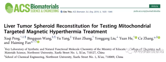 图片7.png 图6 肝肿瘤椭球体重建检测线粒体靶向磁疗治疗效果