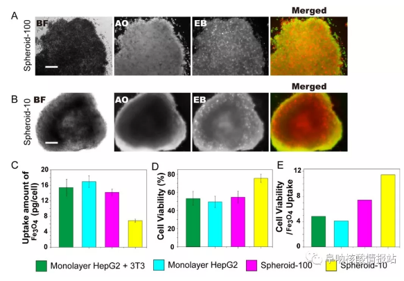 林金明, David A. Weitz：核壳支架中异型细胞的受控组装：液滴中的器官