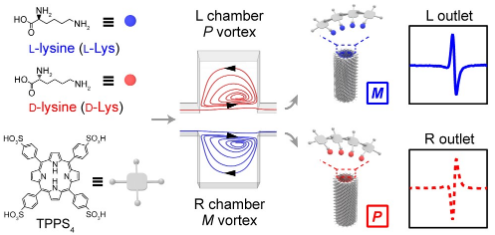 基于微尺度手性流体涡的氨基酸外消旋体定量检测