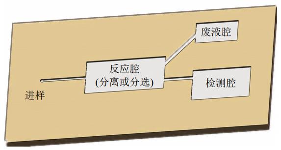 图1微流控芯片结构示意图