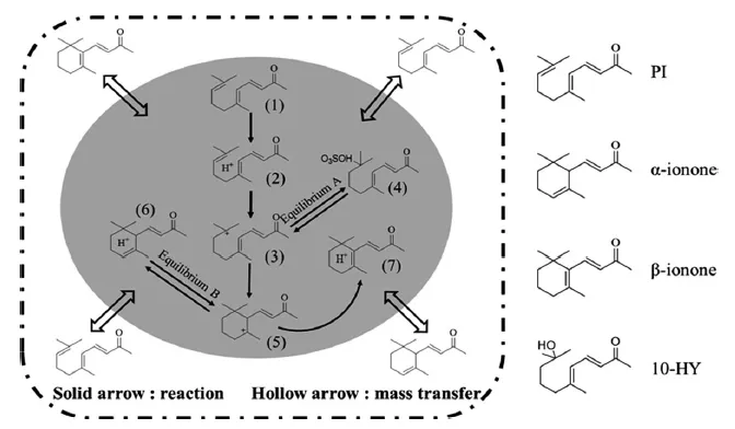 两相系统中PI的环化