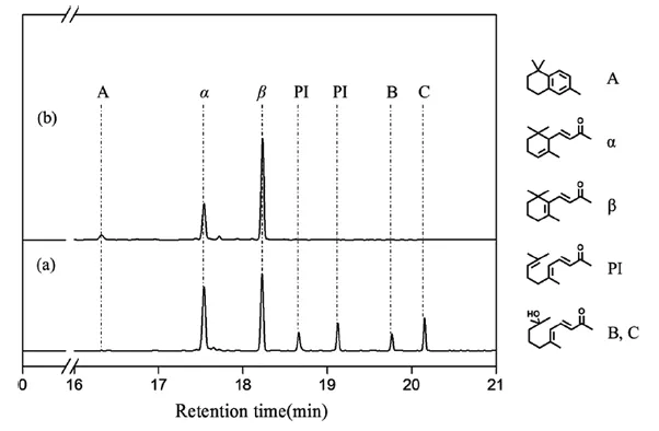 在不同条件下产物混合物的GC色谱图