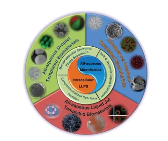 全水微流控细胞仿生技术要点