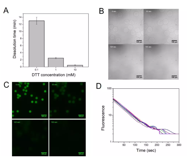 图2. (A) 微球在不同DTT浓度下的降解时间，(B)在1 mM DTT存在下0, 60, 120,以及180 s时微球在显微镜下的状态，(C)在1 mM DTT存在下0, 60, 120,以及180 s时标记上荧光后的微球的荧光图像，(D)随机选择8个微球的荧光强度在降解过程中随时间的变化情况