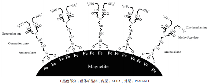 图 4 重构磁小体的结构[56]