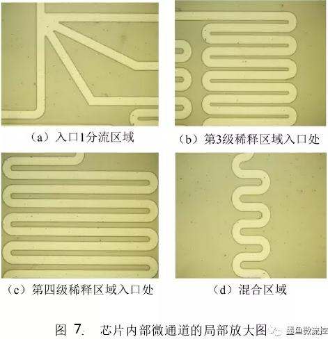 PDMS芯片内部通道局部放大图 PDMS芯片内部通道局部放大图