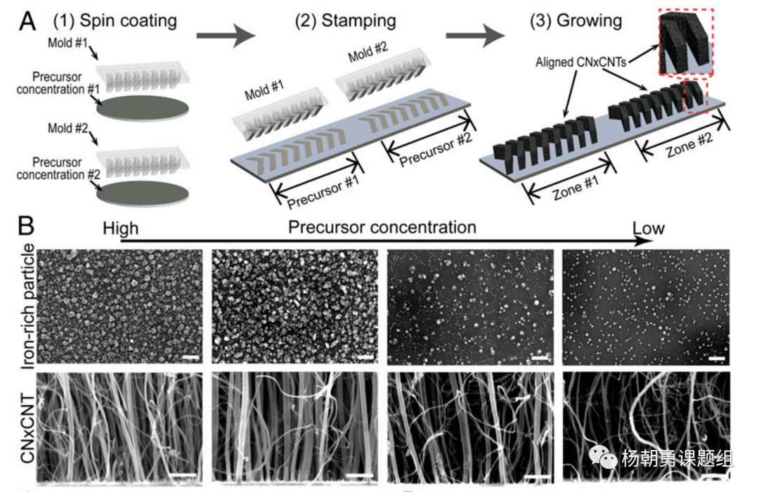 图 2&nbsp;压印的方法制作VIRRION及不同内部间隙的碳纳米管阵列