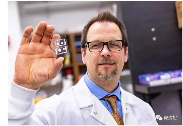 德克萨斯大学达拉斯分校的生物工程师与德克萨斯大学西南医学中心的合作者能够创建角膜组织模型，并利用它们来研究受损眼睛是如何愈合的。