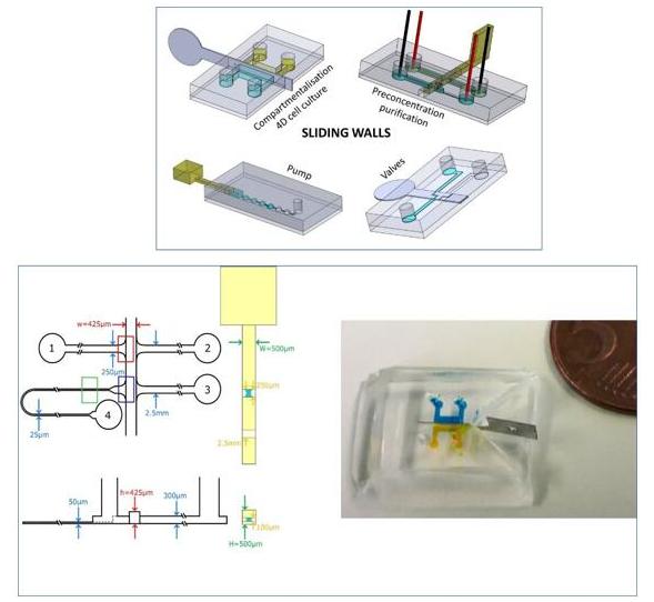 用于DNA预富集的微芯片和滑动壁设计