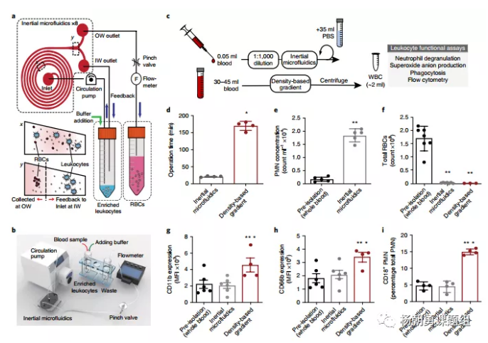 图1 惯性微流控系统用于分离全血中的白细胞原理图，及其与密度梯度离心法分离效果的对比